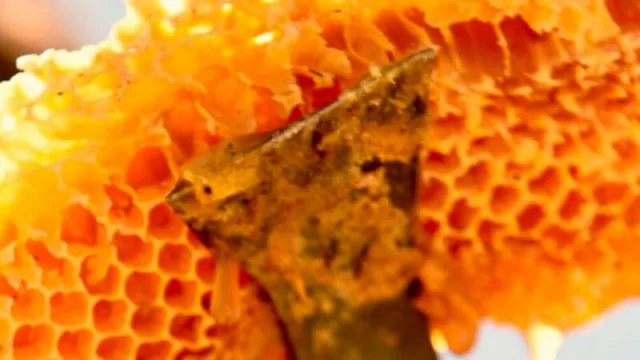 El COPADE anunció nuevos créditos para la reactivación productiva