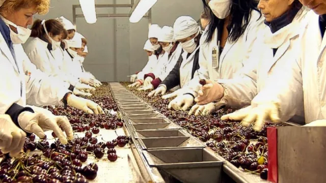 Nación bajó un 25% las retenciones para productos de economías regionales