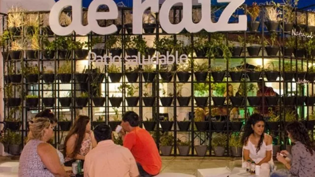 De Raíz, el patio saludable pet y eco friendly en boca de todos