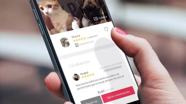 ¿No tenés con quien dejar a tu perro cuando te vas de vacaciones? La aplicación para “salvarte las papas” ya llegó a Neuquén