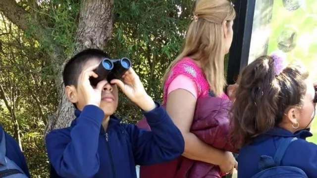 Latam invita a escuelas públicas de Neuquén al programa "Todos podemos Volar" (cierra el 31 de mayo)