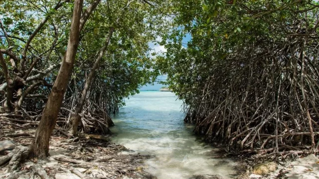 ¿Querés viajar a Aruba? La isla actualizó su oferta turística en Cipolletti y anunció que los argentinos siguen viajando pese a la crisis