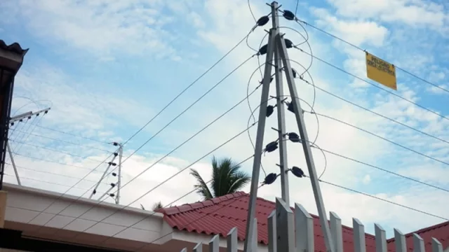 El negocio detrás de la inseguridad de Uruguay