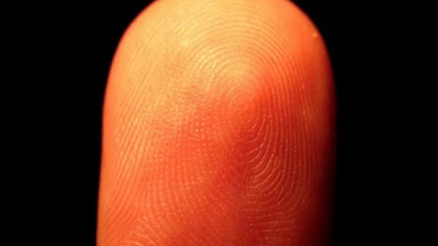 Sí, los lectores de huellas son hackeables (lectores viejos más vulnerables)