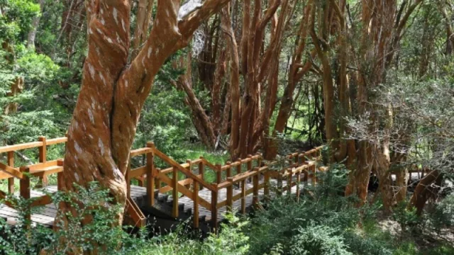 Parque Nacional Arryanes