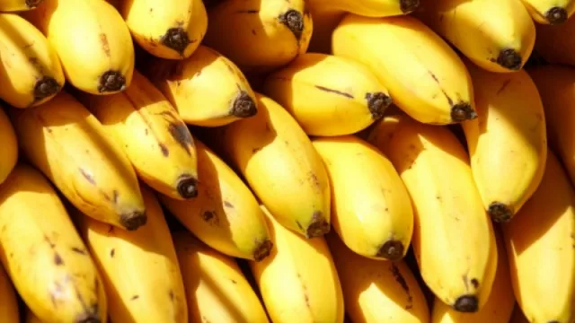 La siembra en Chaco disminuyó un 25%, pero Formosa cosechará 45.000 toneladas de bananas