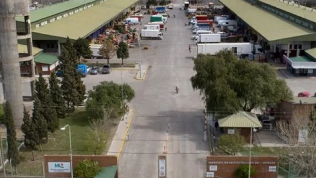 Productores tendrán representación en el Mercado Concentrador