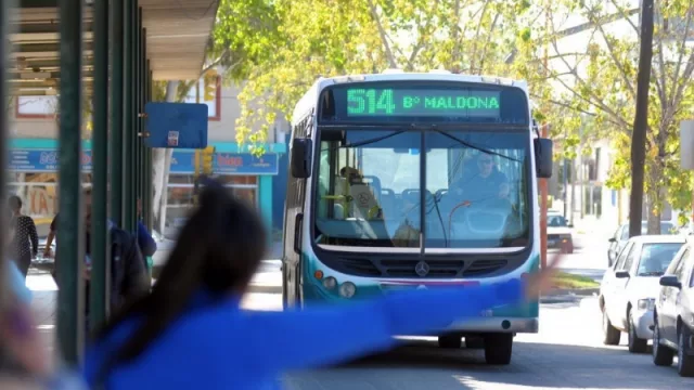 Inflación en la SUBE: ¿qué impacto tuvo el aumento en el transporte público bahiense?