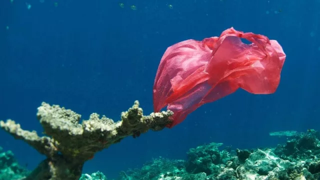 Corona se suma a la causa: "por una playa libre de plástico" (¿y si lo hiciéramos en las Costas del Río Limay?)