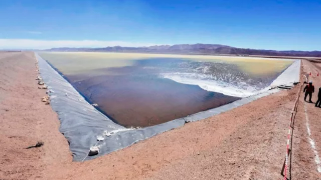 Licitación internacional para estudios de litio en Salinas, Guayatayoc y Salar de Jama