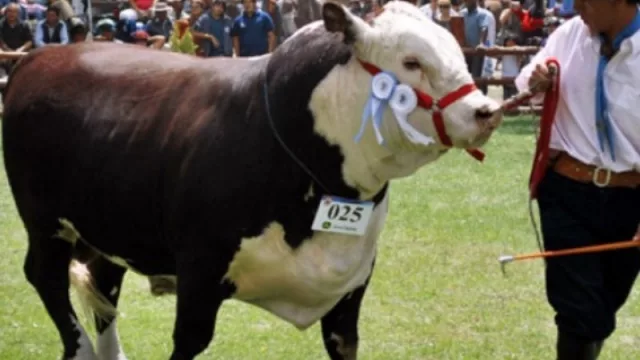 Nutrida agenda de actividades para una nueva Expo Rural de Neuquén