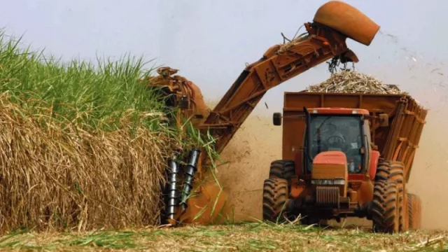 El azúcar en un mundo con tendencias de salud: las alternativas desde Jujuy con Ledesma