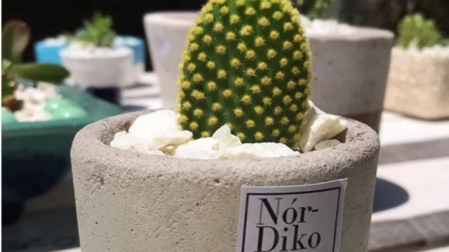 Navidad junto a los emprendedores: valorar lo handmade  