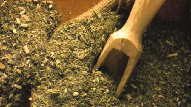 Las exportaciones de yerba alcanzaron un récord histórico