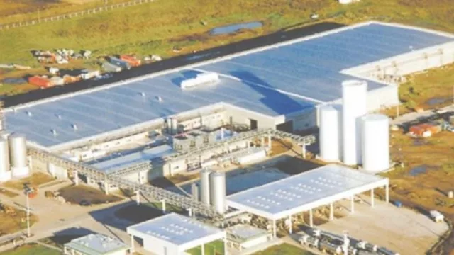 Mastellone perdió $ 2400 millones en nueve meses