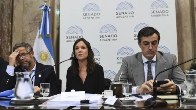 Entre bonos y aguinaldo, diciembre sumará $ 186.000 millones para el consumo