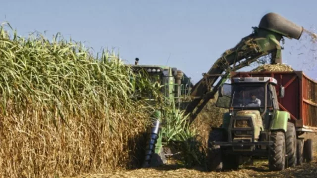 Beneficiarán a pequeños productores cañeros con una financiación millonaria