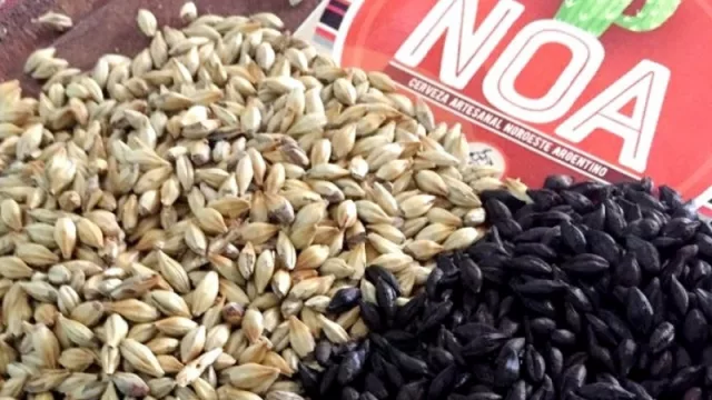 ¡A brindar! La cerveza artesanal se consolida en Jujuy