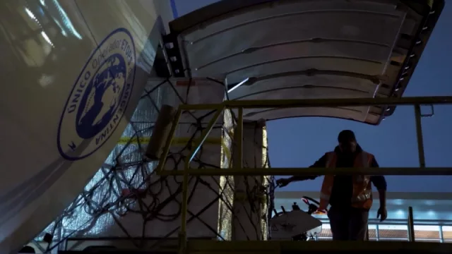 300 toneladas semanales de arándanos son transportadas a través de Aerolíneas Argentinas