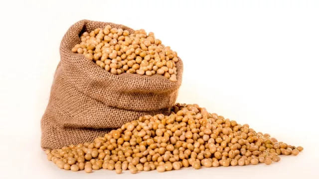 Exportación de harina de soja alcanzó los US$ 724 millones en Paraguay