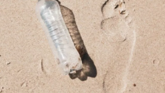 Los argentinos consumimos en 6 meses los recursos naturales disponibles para todo un año