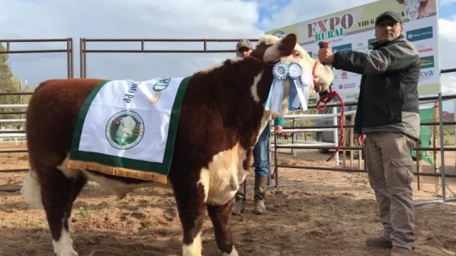 Excelente jornada se vivió en la última Expo Rural del Alto Valle