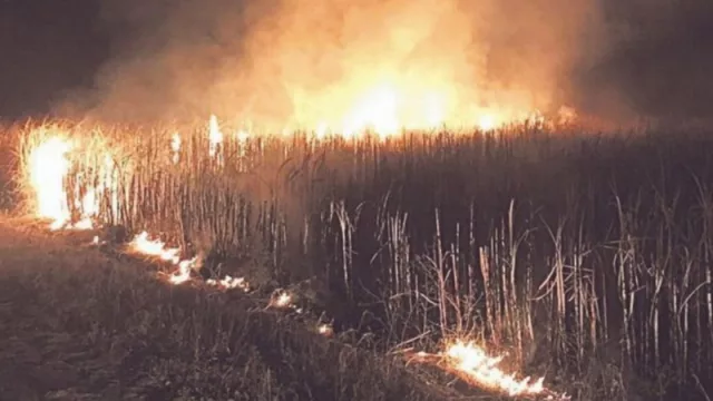 Azucareros niegan responsabilidad en el incendio del Ingenio San Isidro