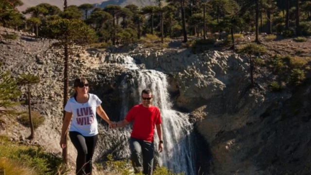 Neuquén dirá presente en la “Travel Mart Latinamerica”