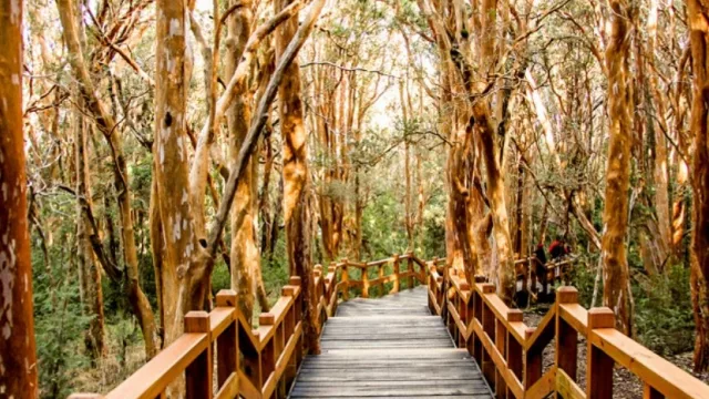 Aquí están, estas son... las 28 finalistas a las 7 Maravillas de Argentina (mirá cuáles de Neuquén)