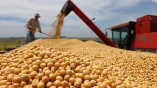 Tucumán, de las provincias del NOA más afectadas por las retenciones a las exportaciones