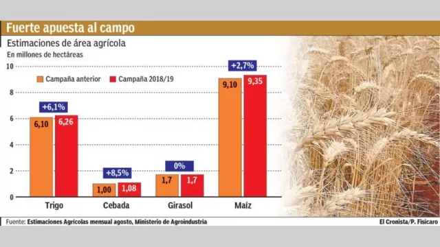Esperanza 2019: el campo puede sumar 1,5 punto al próximo PBI