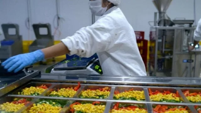 Neuquén será sede de una “Escuela de Negocios para PyMES Agroalimentarias”