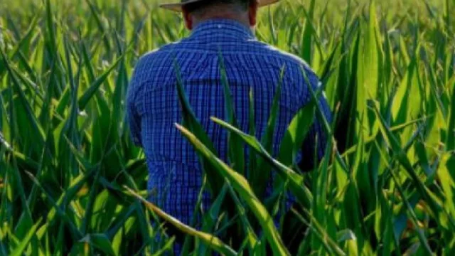 Últimas búsquedas de personal para el Censo Nacional Agropecuario (CNA 2018)