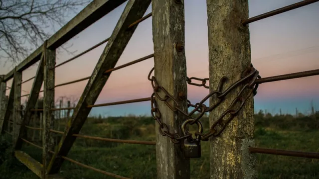 ¿Cuántas hectáreas de tierra cultivable de Tucumán están en manos de extranjeros?