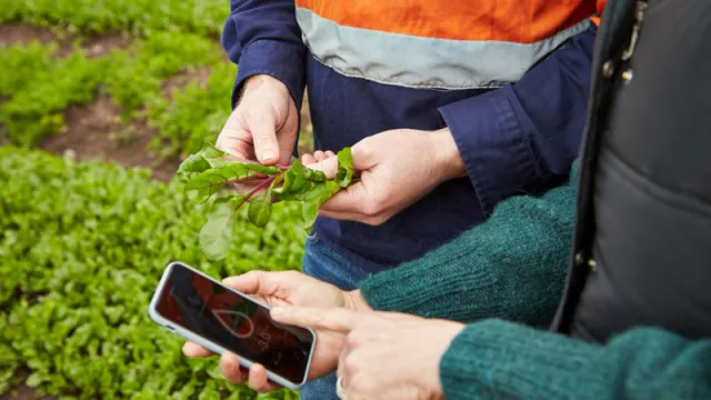 BoosterAgro ya cubre 17 millones de hectáreas