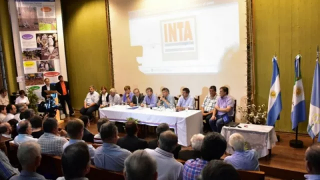 De Chaco al país: el INTA presentó tres nuevas semillas transgénicas de algodón