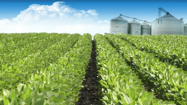 Comenzó la instalación de la primera cinta tubular