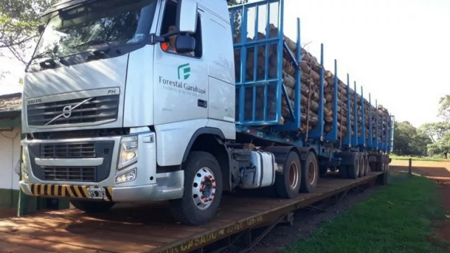 Bitrenes: probaron su circulación en rutas de Corrientes