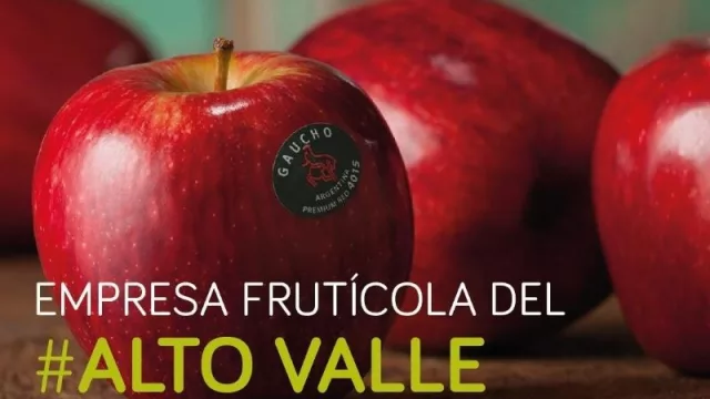 El BICE triplicó sus préstamos a las PyMES de Neuquén y Río Negro (se destacan fruticultura y servicios petroleros)