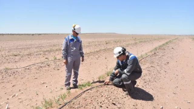 La nueva Central Térmica de Loma Campana tiene un “costado” ambiental más allá del valor agregado que le dará al gas