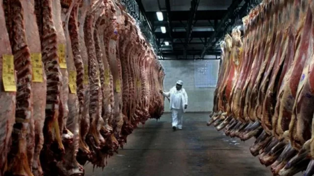 La Ley de Promoción Pecuaria comenzó a dar sus frutos: más faena y más empleo