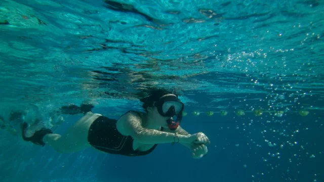 La escuela de buceo que cumplió 10 años en el agua (y pretende llegar a las nuestras)