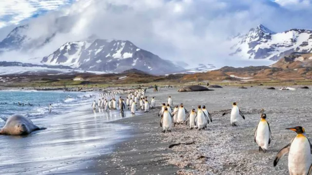 Cancillería llama a compañías aéreas a cubrir vuelos hacia Malvinas