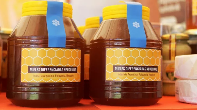 Desarrollan nuevos productos a partir de la materia prima de colmenas de Neuquén