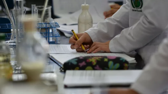 Becas para especialistas en materia de petroquímicos e hidrocarburos