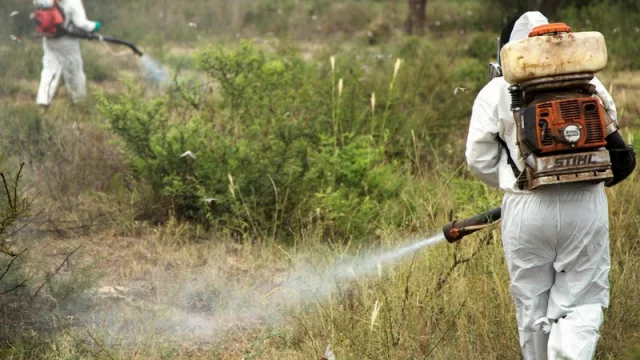 La lucha contra la langosta va tomando forma: ya se invirtieron 3,4 millones de pesos