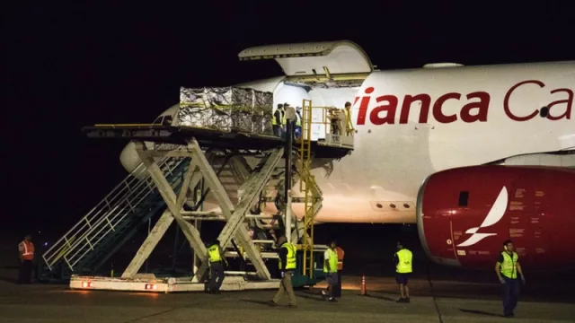 Los “cereceros” de la Patagonia en busca de los mercados asiáticos (Tailandia es el primer objetivo)