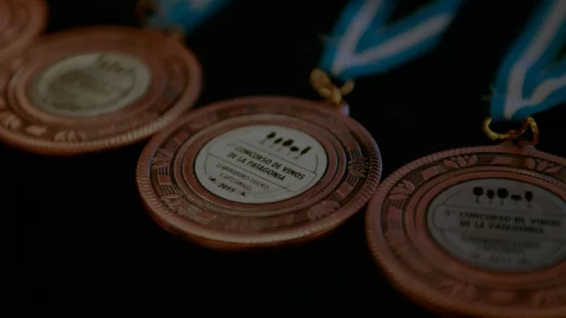 Notas de Vino ya tiene su web oficial (vas a poder comprar vinos caseros y artesanales)