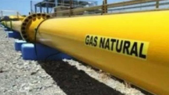 Añelo: Audiencia Pública para la construcción de una planta de gas (TGS invertirá en Neuquén)