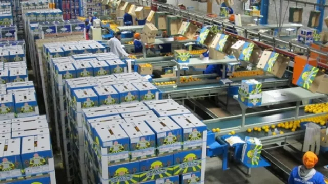 San Miguel no deja de sorprender: ya exporta a los cinco continentes